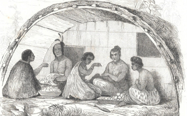 Carnet de voyage - Cannibal Jack, premier Pakeha chez les Maoris