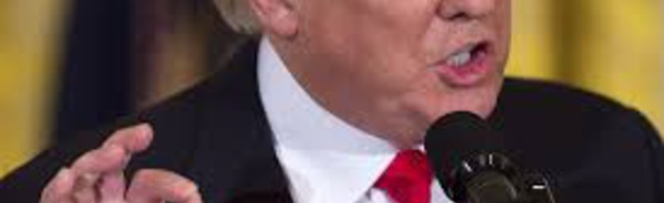 En Californie, les électeurs pro-Trump vent debout derrière le président