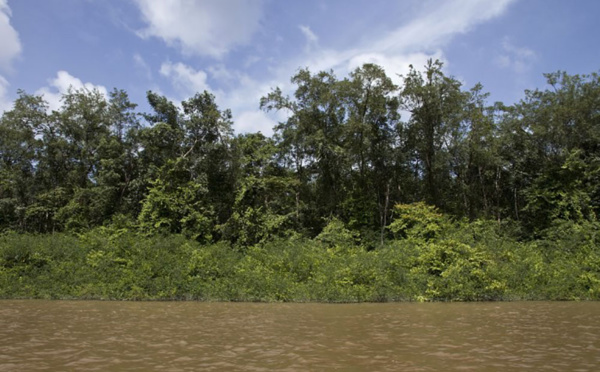 Un projet minier "hors normes" controversé en Guyane française