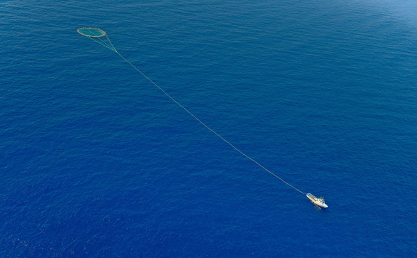 Plus de 45 tonnes de thon rouge saisies sur un chalutier portugais