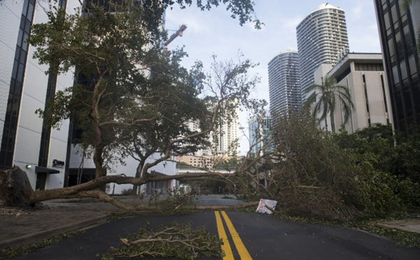 Irma rétrogradé en tempête tropicale, mais la prudence reste de mise