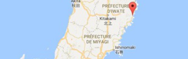 Un séisme d'une magnitude de 6,1 frappe la côte est du Japon