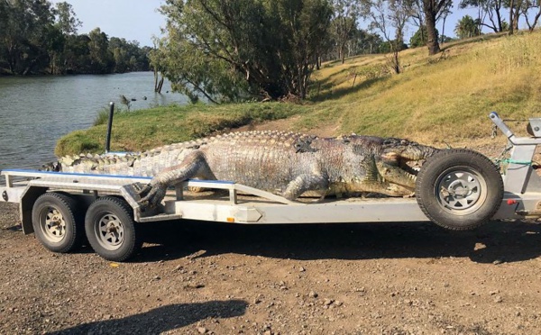 Chasse à l'homme en Australie après la mort d'un crocodile