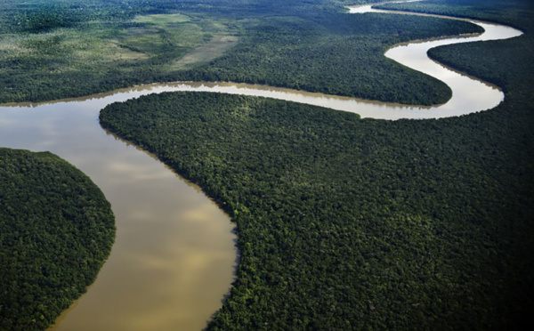 Sous la pression, le Brésil annule un permis d'exploitation minière d'une réserve d'Amazonie