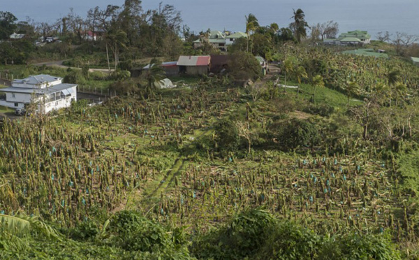 La N-Calédonie débloque 1250.000 euros pour les Antilles après les ouragans