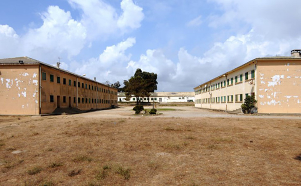 Corse: 6 mois ferme pour avoir maltraité des agneaux dans une "prison ouverte"