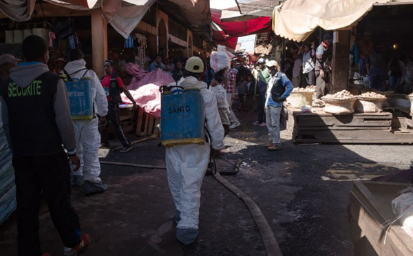 Madagascar: 124 morts de la peste mais l'épidémie ralentit