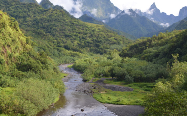 Préservation et suivi écologique du parc de Te Faaiti