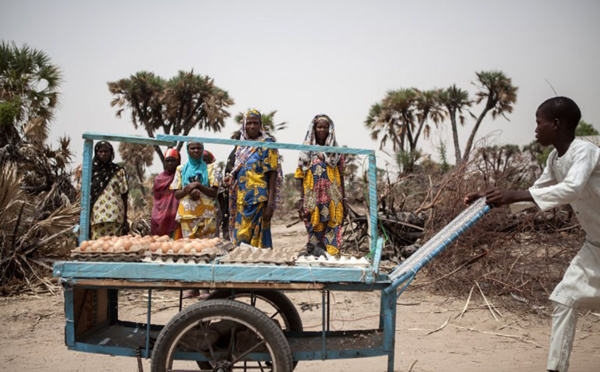 Nord-est du Nigeria: au moins 50 morts dans un attentat-suicide