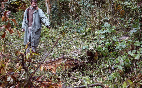 Soupçonnée d'un quintuple infanticide, une mère confondue par son ADN après 14 ans d'enquête