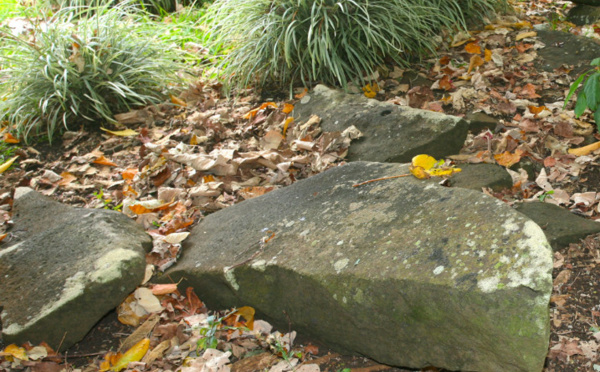 Carnet de voyage - Tubuai à l’âge de pierre…