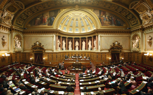Modification du statut : les sénateurs "n'excluent" pas de faire une proposition de loi organique 