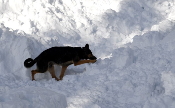 Trois morts dans les Alpes suisses en raison d'avalanches