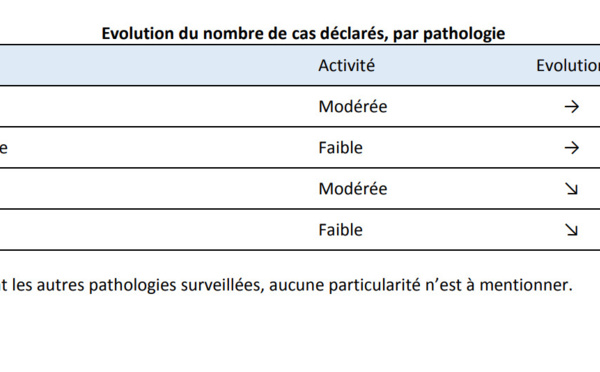 Veille sanitaire : bilan de surveillance des semaines 49 et 50 en Polynésie