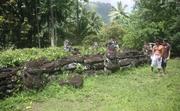 Paeke : les tiki des Taïpi