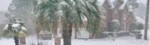 De la neige en Floride, du jamais vu depuis 29 ans