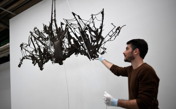 Découverte d'un fossile de chauve-souris géante en Nouvelle-Zélande