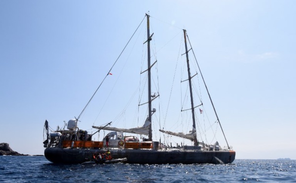 Le séquençage au secours des coraux de l'expédition Tara