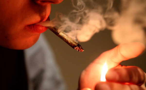 La consommation de cannabis bientôt punie d'une amende