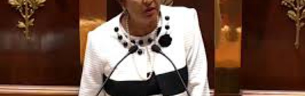 Des députés de La Réunion s'inquiètent pour l'accession sociale à la propriété en Outre-mer