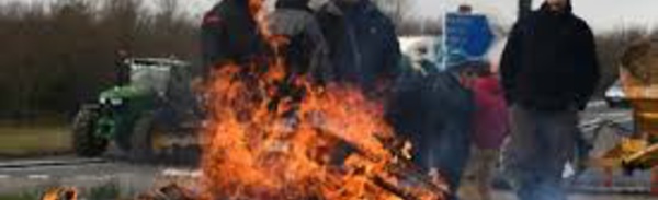 Les éleveurs au "bord du gouffre" dans le Tarn-et-Garonne