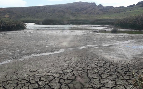 Sècheresse historique  à l’île de Pâques