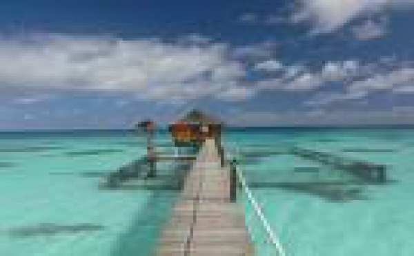 Perliculture: de nouvelles dispositions dans l'exploitation du domaine public