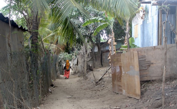 Mayotte : un taux de chômage parmi les plus importants de France