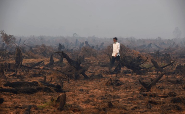 Indonésie: violents feux de forêts à Sumatra et Bornéo