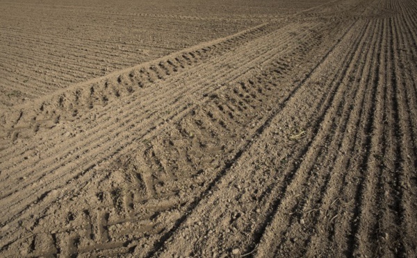 La Chine, acheteuse vorace de terres agricoles à l'étranger