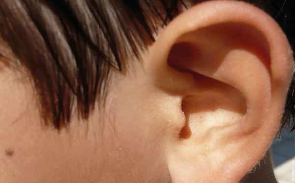 Page enfant : Les neuf sens du corps humain