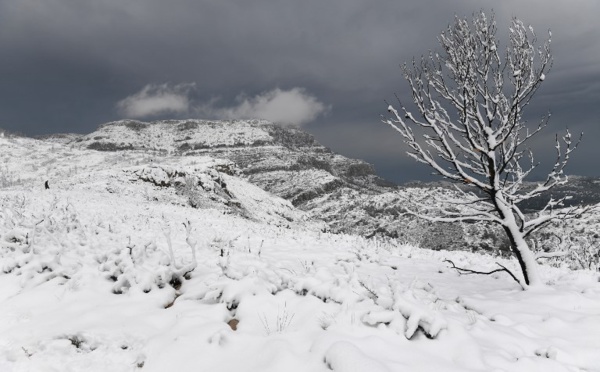 Le Sud sous la neige après la nuit la plus froide de l'hiver