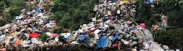 Indonésie: le défi titanesque de nettoyer le fleuve le plus pollué au monde