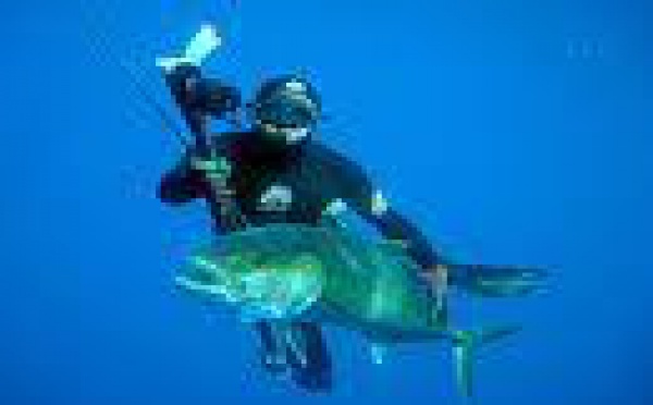Rurutu : résultats provisoires des Océania de pêche sous marine.