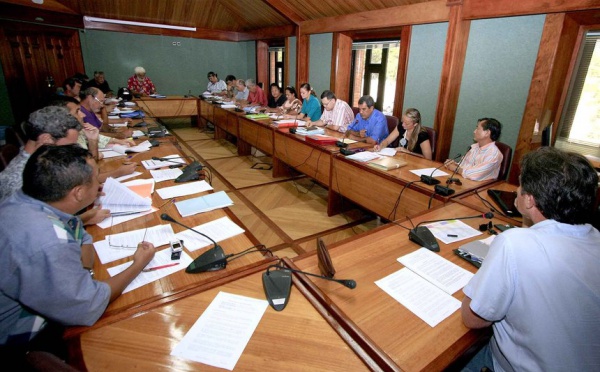 Subventions aux communes : le CESC planche sur le projet de loi du pays