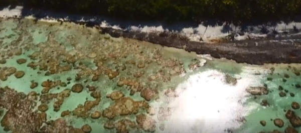 Tetiaroa à couper le souffle lors d'une session de kite
