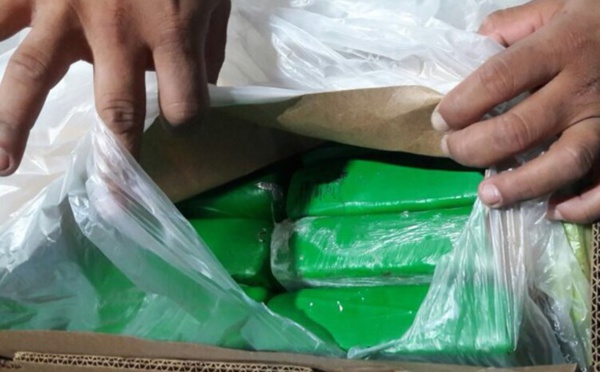 Record de saisies de cocaïne pour la douane en 2017