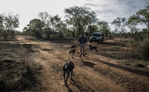 L'Australie courtise les Sud-Africains blancs "persécutés", Pretoria enrage