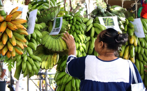 Prêts à déguster ‘uru et banane ? 