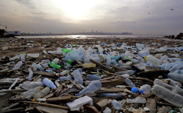 La décharge flottante du Pacifique 3 fois la taille de la France