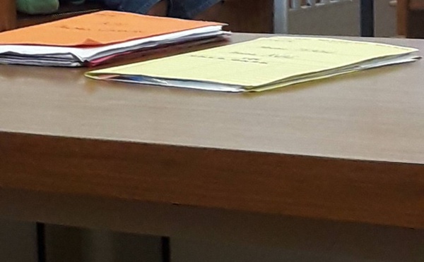 Un prédateur sexuel pédophile condamné à 7 ans de prison ferme