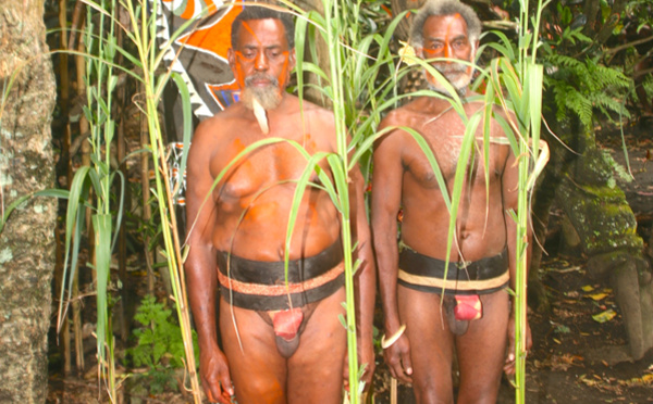 Vanuatu : les fougères sacrées  d'Ambrym