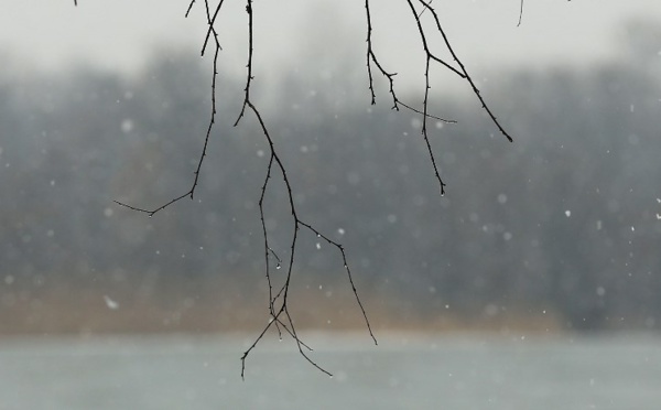 Un célèbre avocat américain se suicide par le feu pour dénoncer la pollution