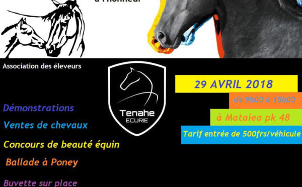 Un concours de beauté et une vente aux enchères de chevaux à Mataiea