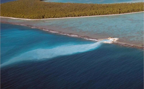 Le Collectif No To’u Fenua &amp; Moruroa e Tatou créent les journées de l'environnement Polynesiennes