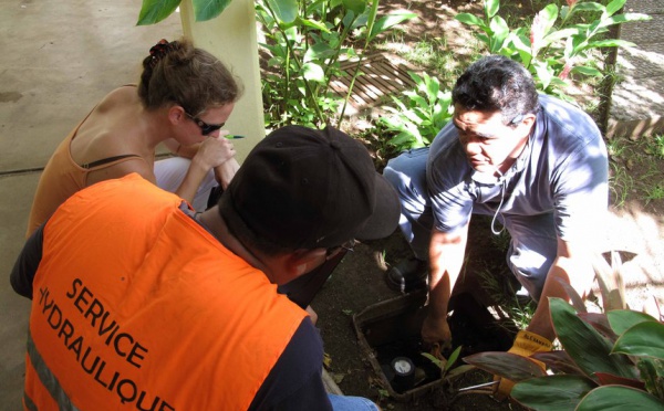 Un premier pas pour l’amélioration du réseau hydraulique de Pirae