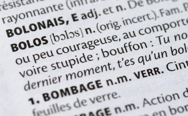 Un "schmutz" sous la "gouttine": les nouveaux mots des dictionnaires