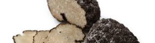 Du rififi dans la truffe: la répression des fraudes sévit | fraude