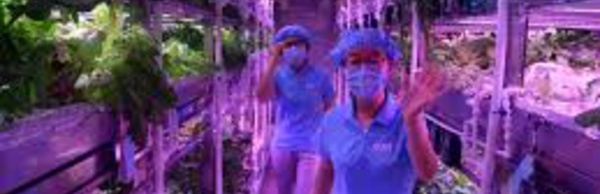 Chine: des étudiants ont passé 110 jours "comme sur la Lune"