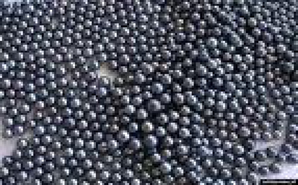 Perliculture : deux ventes aux enchères en octobre à Bora Bora